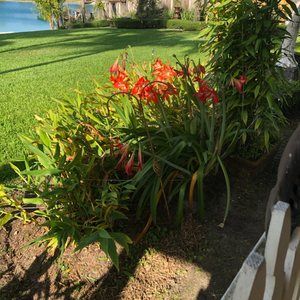 Meet your Posher, Alba